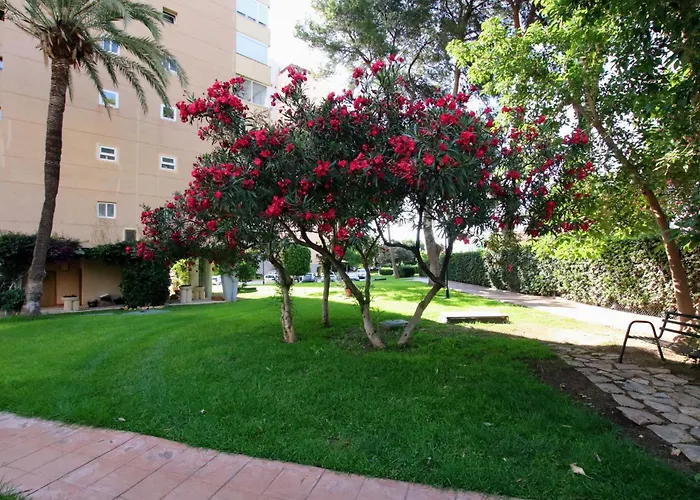 Tess Playamar La Torre * Torremolinos