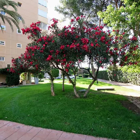 Tess Playamar La Torre * Torremolinos